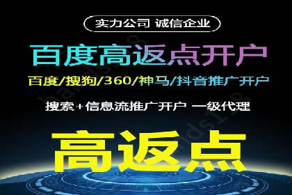 百度推广代运营公司成功案例：精准投放广告的秘诀
